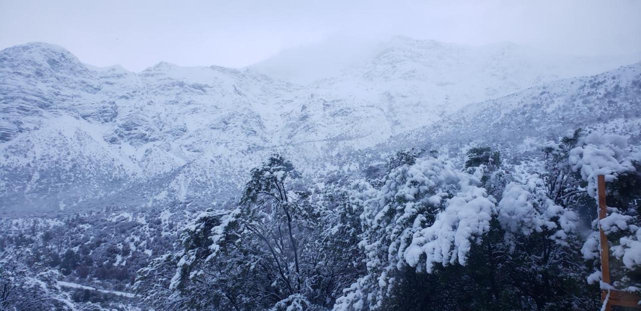 Villa Cordillera Flora endógena Bosque Esclerófilo San José de Maipo Esterno foto
