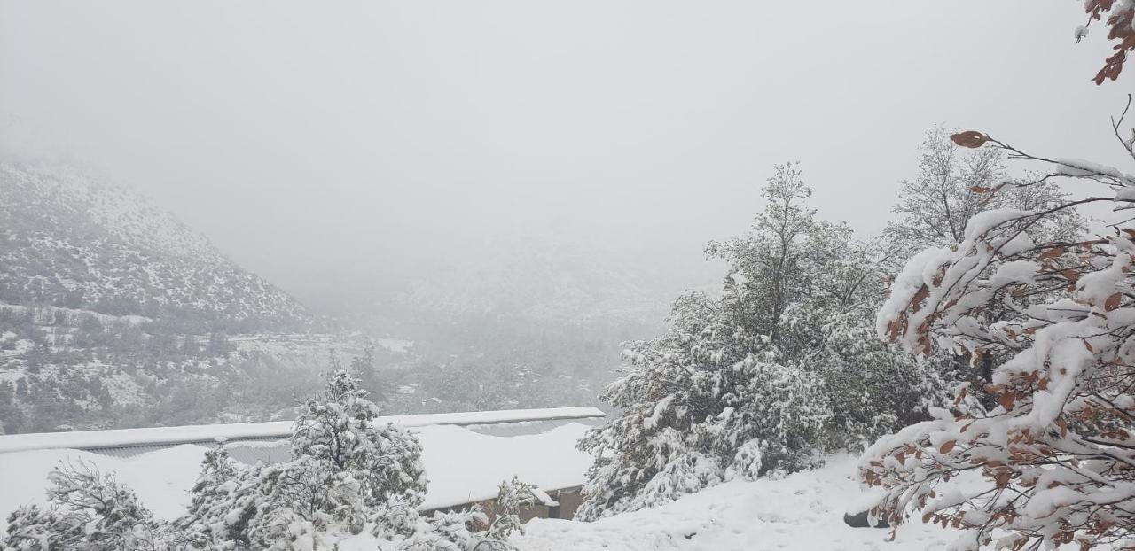 Villa Cordillera Flora endógena Bosque Esclerófilo San José de Maipo Esterno foto