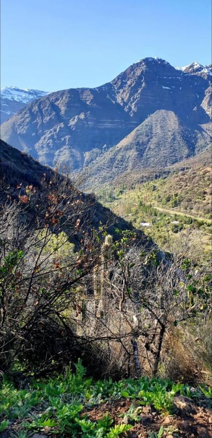 Villa Cordillera Flora endógena Bosque Esclerófilo San José de Maipo Esterno foto