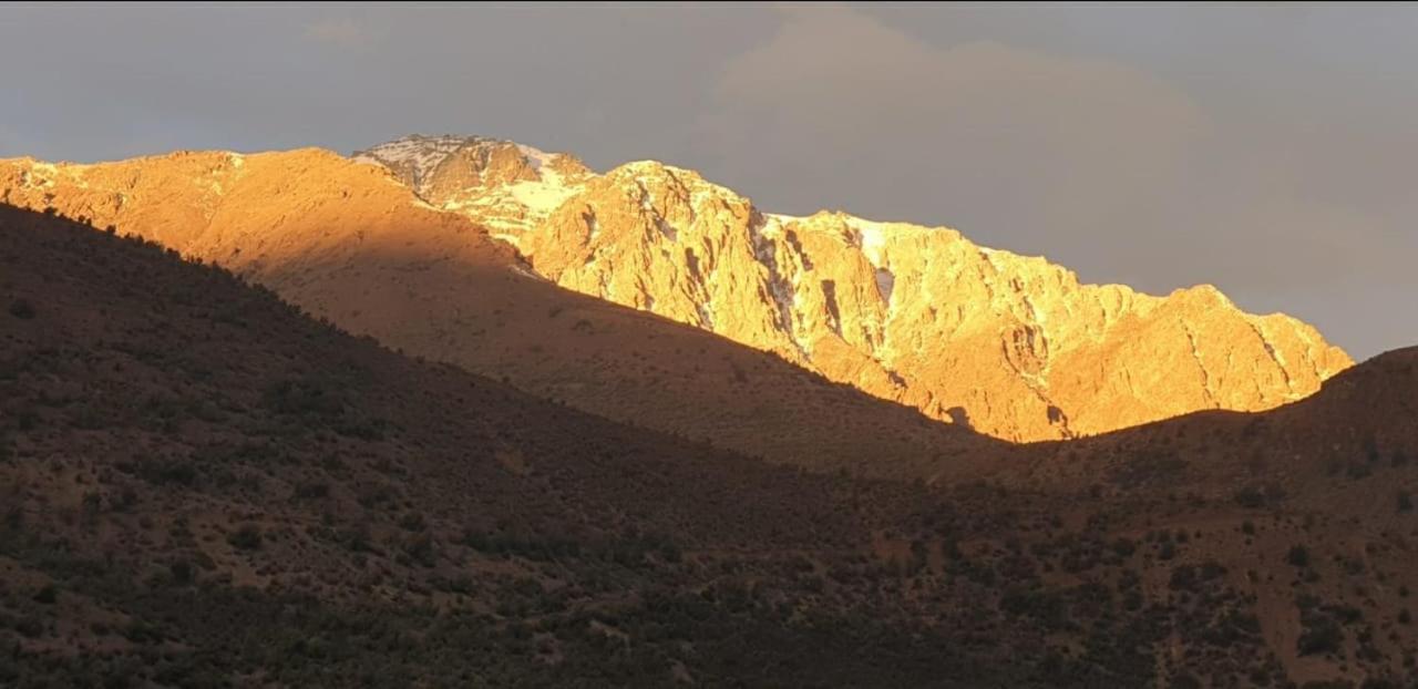 Villa Cordillera Flora endógena Bosque Esclerófilo San José de Maipo Esterno foto
